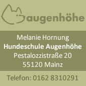 Hundeschule Augenhöhe in Mainz-Mombach